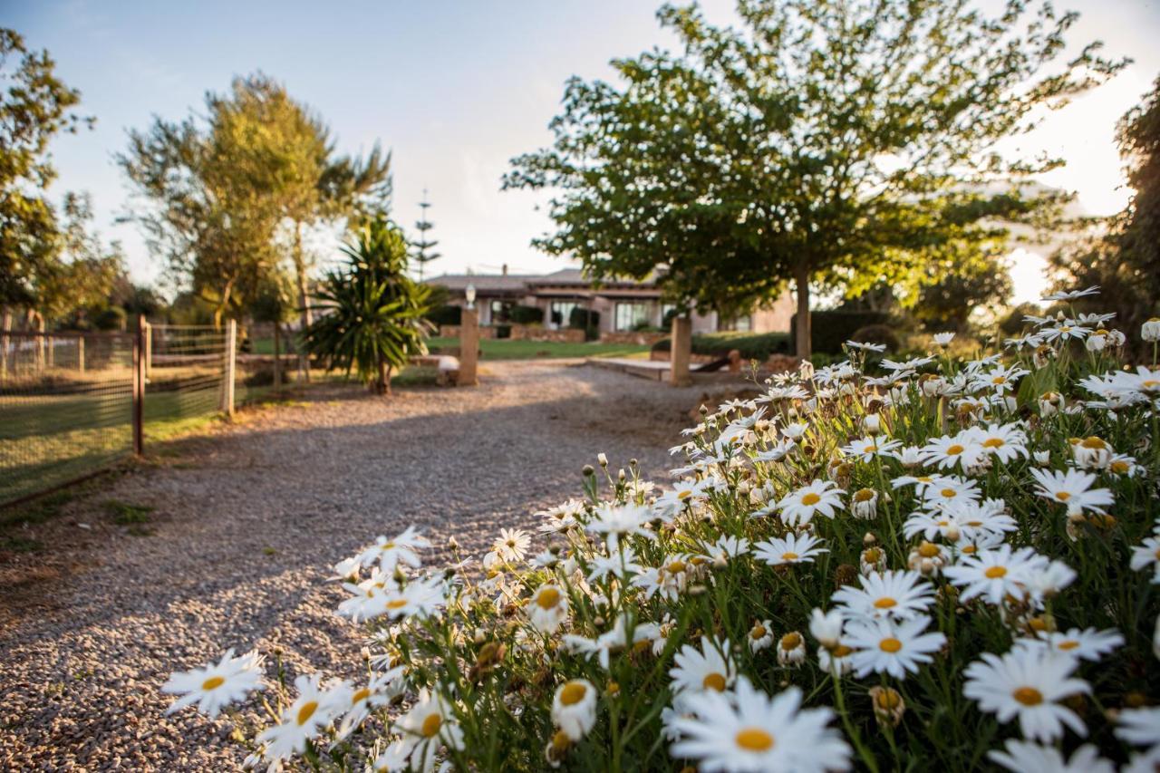 Agroturismo Can Pere Rei Son Serra de Marina Exterior foto